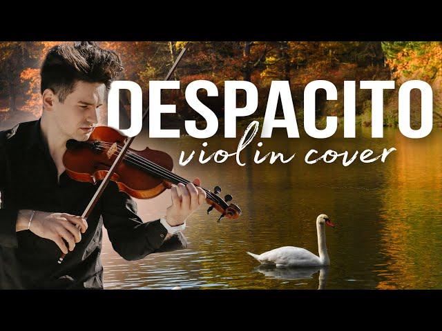 This video will make you smile! DESPACITO violin cover by David Bay and swans