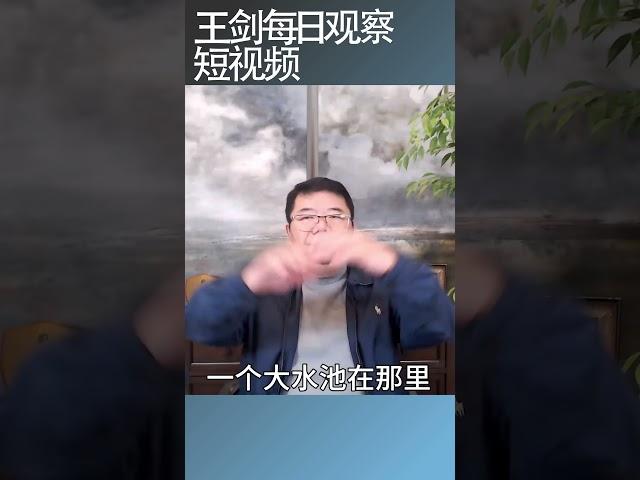 中国社保背后的庞氏骗局/王剑每日观察 #shortsviral #shortsfeed #shortsvideo