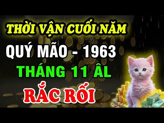 Tử Vi Tháng 11 ÂL Tuổi Quý Mão 1963: Vận Trình Lắm Điều Mệt Mỏi, Cẩn Trọng Từng Bước, Chú ý thái độ