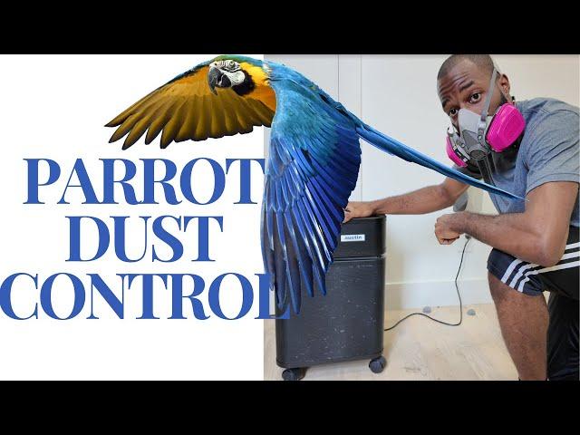 Managing Parrot Dust: 3 Proven Methods for a Cleaner Home! | Parrot Care