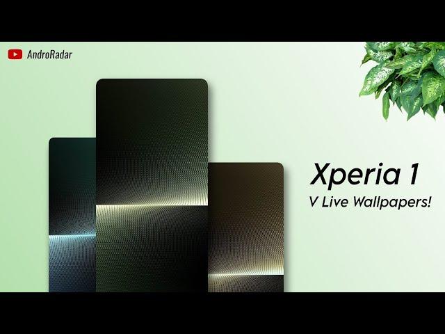 [APK] Install Sony Xperia 1 V Live Wallpapers on any Android! 
