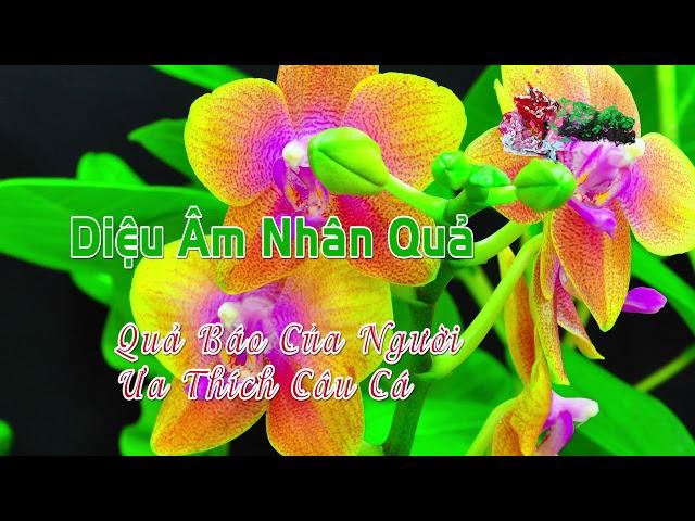 Quả Báo Của Người Ưa Thích Câu Cá - Diệu Âm Nhân Quả