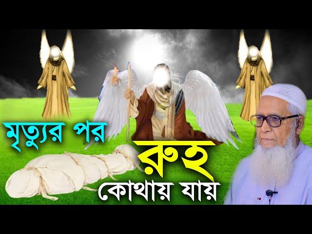 মৃত্যুর পর রুহ কোথায় যায় | আল্লামা লুৎফর রহমান | Allama Lutfur Rahman | New Waz Mahfil