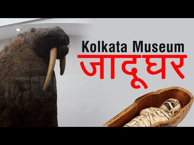 Indian Museum Kolkata | Jadughar | kolkata Indian museum full tour | best places to visit in kolkata