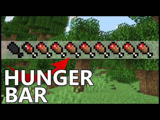 How Does HUNGER Work In Minecraft