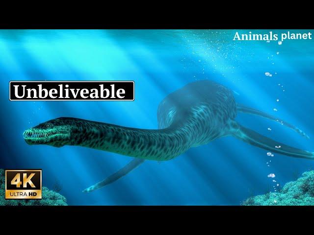 Unbelievable River Monster | A Jaw-Dropping Discovery | Animals planet 101