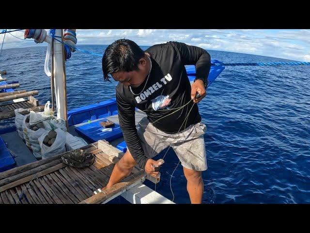 Big Tuna's Highlights | Pacific Ocean | Romzel TV