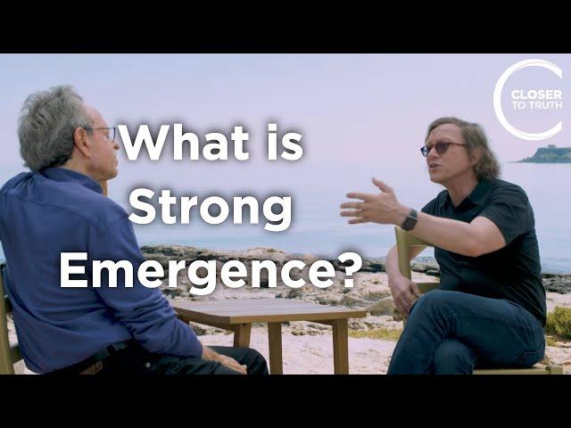 Tim Maudlin - What is Strong Emergence?