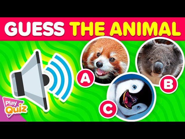 Guess the Animal Sound  | Game Multiple Choice | PlayQuiz Challenge