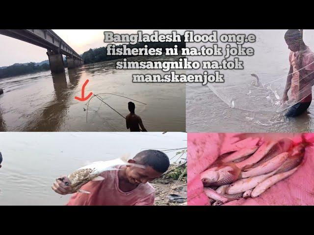 Bangladesh fisherie joke Baghmara simsango dal.dala na.tokon chekchi mantokenjok/ simsang river fish