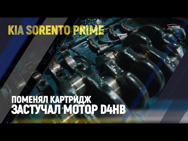 Поменял картридж застучал мотор Kia Sorento Prime