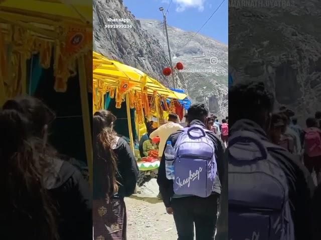 Shri Amarnath Ji Holy Cave Darshan #trending #shorts #Amarnath #AmarnathCave #AmarnathGufa