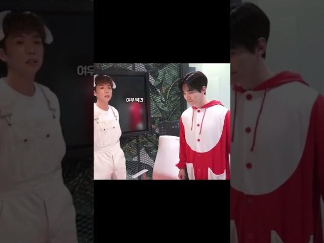 [2PM우영/준호] 여우 울음소리 아세요? 앙티즈X잊폭스가 결론 내렸습니다 #shorts #2pm