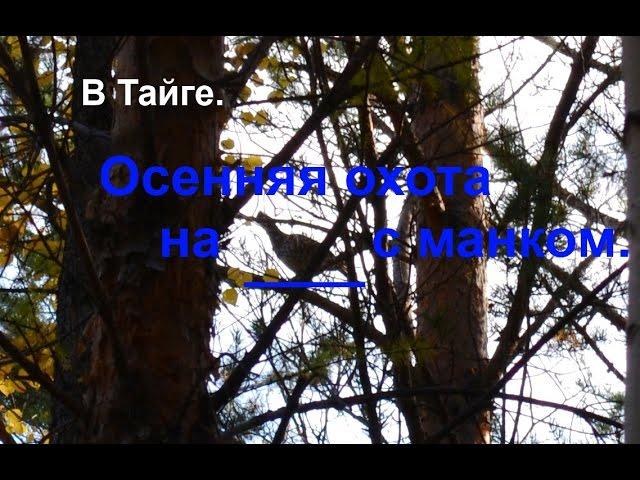 В Тайге. Охота: рябчик на манок.
