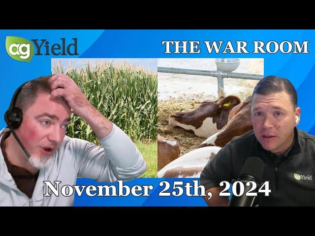 Corn/Beans ratio drops, New world screwworm detected in Mexican livestock | War Room: Nov 25th, 2024