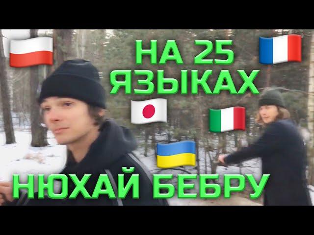 НЮХАЙ БЕБРУ на разных языках (перевод)