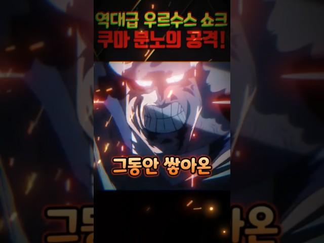 해군 함대들을 초토화시키는 쿠마 ㄷㄷ 역대급 우르수스 쇼크 작렬 #원피스 #onepiece