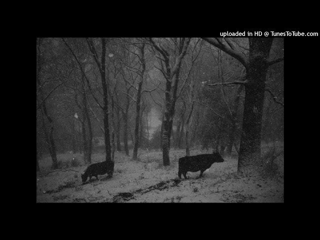 [FREE FOR PROFIT] DARK GHOSTEMANE TYPE BEAT "Cold pt. 4" (prod. Yung Ripper)