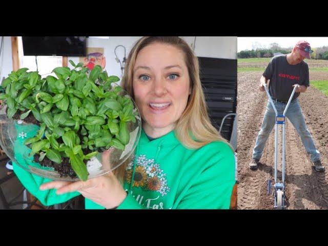  Starting Zinnias in Soil Blocks :‍Direct Sowing Zinnia with Sunflower Steve: Flower Hill Farm