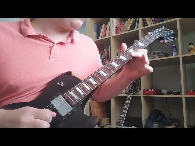 Iron Maiden -Wasted years (solo cover)