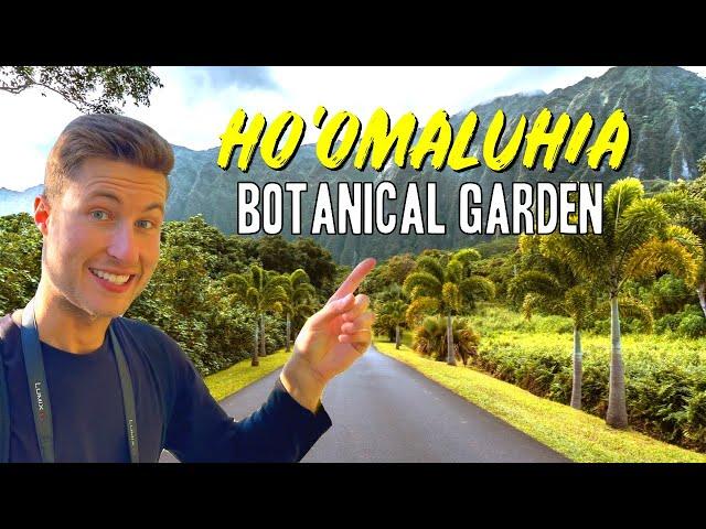 Ho'omaluhia Botanical Garden Tour & Guide | Things to Do Oahu, Hawaii