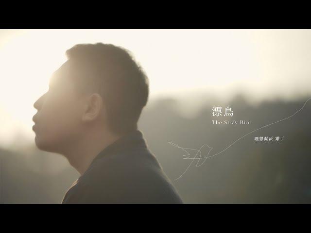 理想混蛋 雞丁【漂鳥 The Stray Bird】Official Music Video