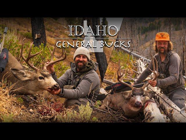 GENERAL BUCKS - Idaho Public Land Mule Deer Hunting