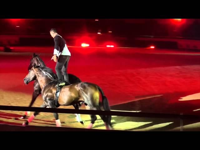 The Dancing Horses - Nouveautés, nouveaux numéros - Selyne & Jeremy Gonzalez -