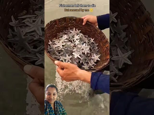 #fishing #oceanrescue #beach #starfish #sealife #crab #fish #deepsea #ocean #seafood