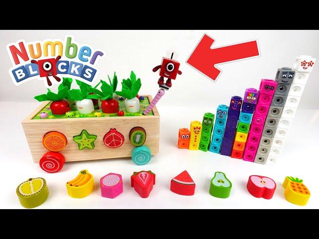 Numberblocks Learn Fruit Names, Count, and Sort Objects from Wooden  Educational Toy Garden for Kids