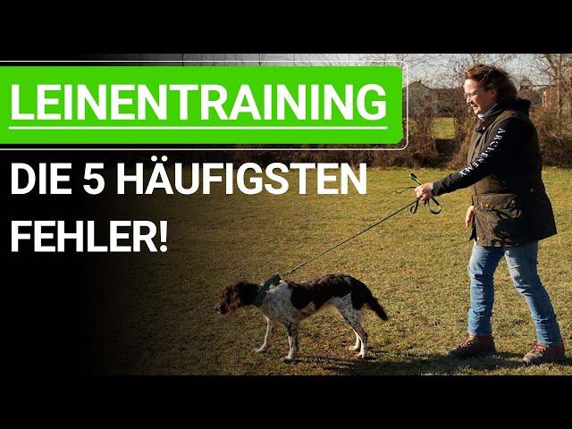  Vermeide diese 5 häufigsten Fehler beim Hunde Leinentraining! ️ Praxisvideo ️