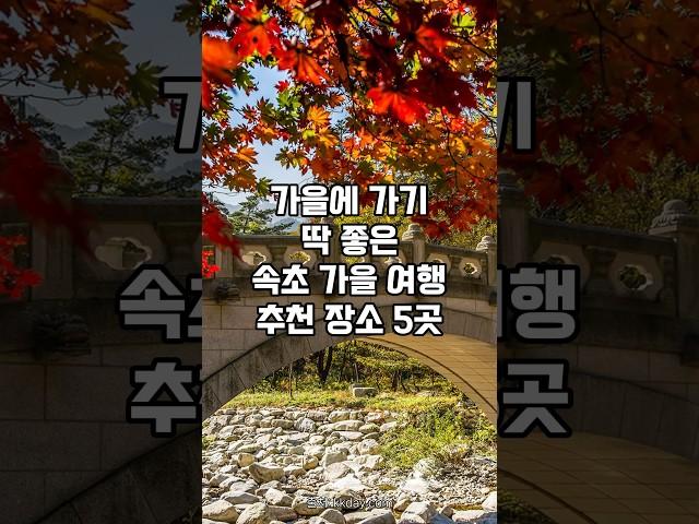 가을에 무조건 가야하는 강원도 속초 여행 추천 장소 5곳 #속초여행 #가을여행지추천