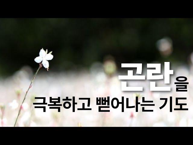 곤란을 극복하고 뻗어나는 기도 | 영성을 깨우는 명상 | 한국교문사