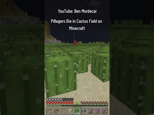 How to insta-kill pillagers on Minecraft using cactus fields  #minecraft #survival #realm #ps5