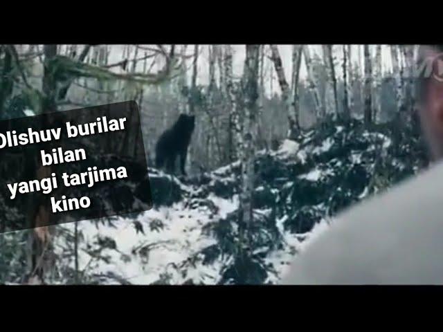 Yangi Tarjima Kino Boevek Bo‘rilar Bilan Olishuv Uzbek Tilida Янги Таржима Кино