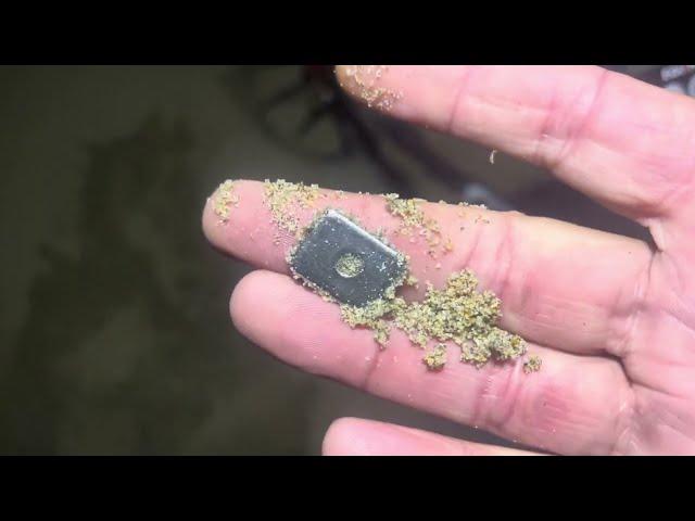 Beach metal detecting you never know where you’re going to find your treasure