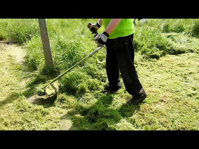 one off job cutting overgrown grass