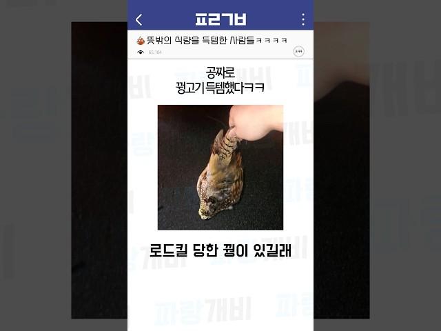 뜻밖의 식량을 득템한 사람들ㅋㅋㅋㅋ
