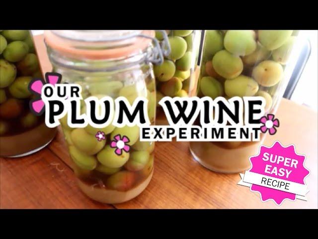 EASY RECIPE!  Make your own Plum Wine  Umeshu  Maesil Ju  梅酒  FOODIE FRIDAY 