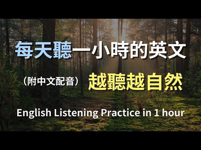 保母級聽力訓練｜日常英文句子特訓｜真實對話範例｜零基礎也能聽懂｜學會高頻使用英文｜English Listening（附中文字幕）