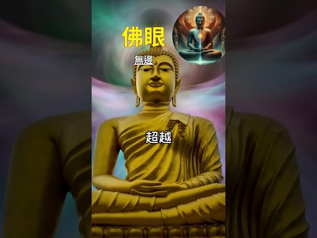 「佛眼」 無邊：佛眼證境 超凡入聖 #開悟 #覺醒 #靈性成長