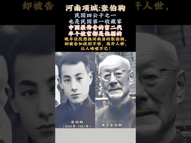 北洋四公子之一張白駒，半個故宮都是他捐的，散盡家財，晚年淒涼！