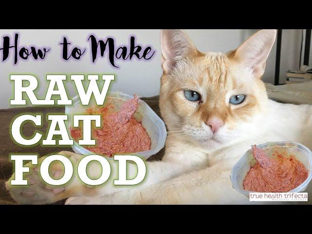 How to Make RAW CAT FOOD (RECIPE) – Homemade Cat Food for Healthy Cats