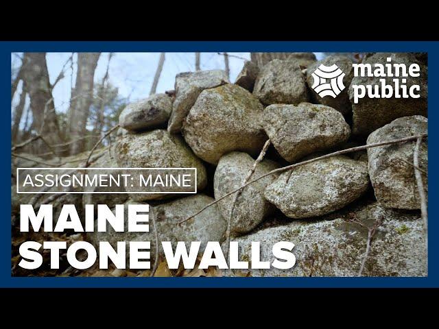 Why Maine's woods have so many rock walls | Assignment: Maine