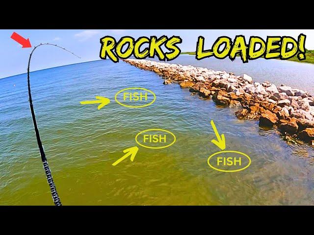 FLOUNDER FISHING **ROCK JETTYS** Flounder (Fluke) Everywhere!