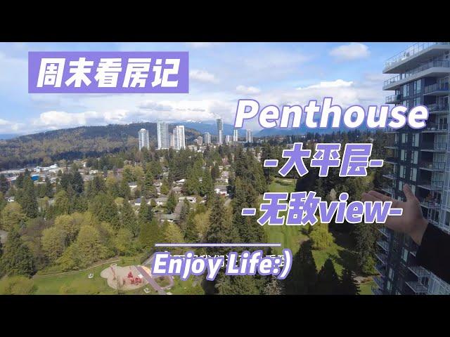 周末看房记-Penthouse大平层