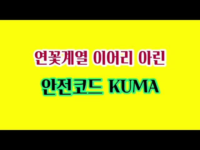 꽃계열 아린? 이어리? 안전코드KUMA