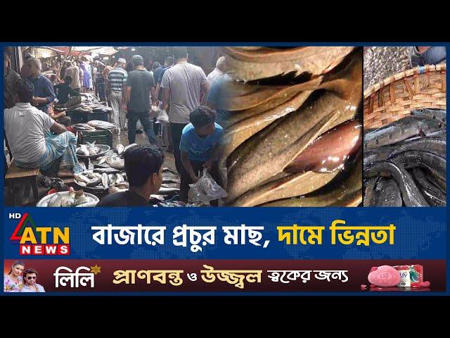 বাজারে প্রচুর মাছ, দামে ভিন্নতা | Fish Market | lots of fish | ATN News