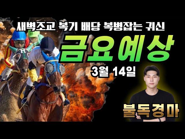 복병귀신 불독의 3/14(금) 전경주 복병&축마 오픈! 금요예상 방송! #경마#불독경마#금요경마