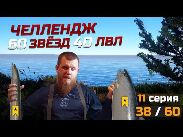 60 ТРОФЕЕВ НА 40 ЛВЛЕ ● Челлендж ● 11 Серия ● Русская Рыбалка 4